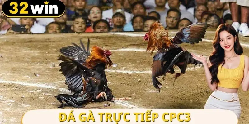 Đá Gà Trực Tiếp